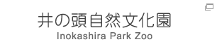 井の頭自然文化園 Inokashira Park Zoo